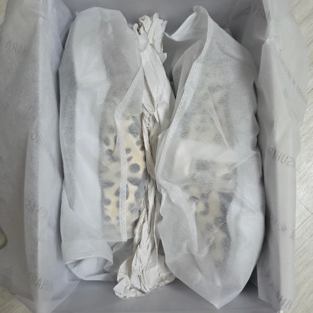 미하라 야스히로 베이커 달마시안