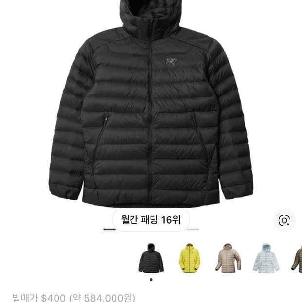 구매) 아크테릭스 세륨 후디