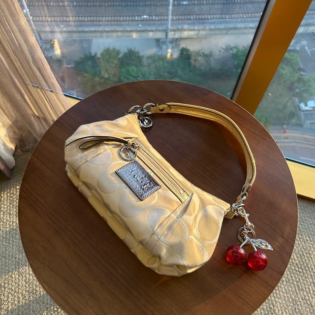 데일리⭐️)) 코치 시그니처 자카드 플리티드 호보백 