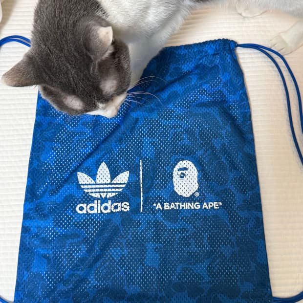 베이프 아디다스 스트링백