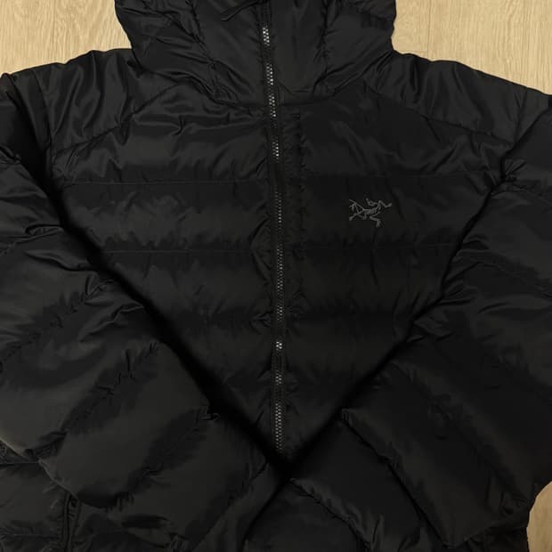 아크테릭스 토륨 후디 L