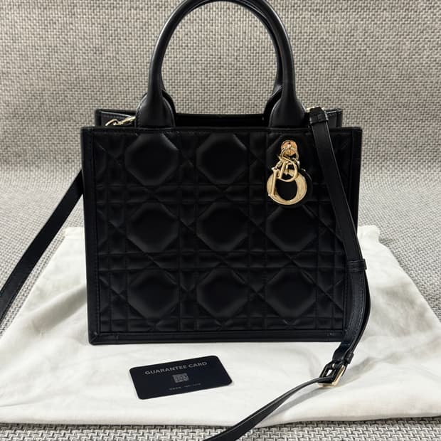 디올 북토트 스몰 까나쥬