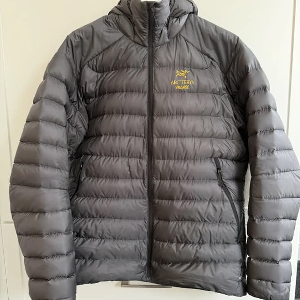 L 아크테릭스 x 팔라스 세륨 LT 후디 패딩 자켓
