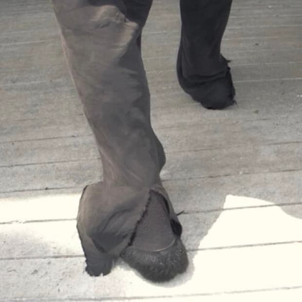 [1] 머듈 큐프라 팬츠