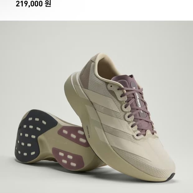 아디제로 에보슬 H.KOUMORI  260