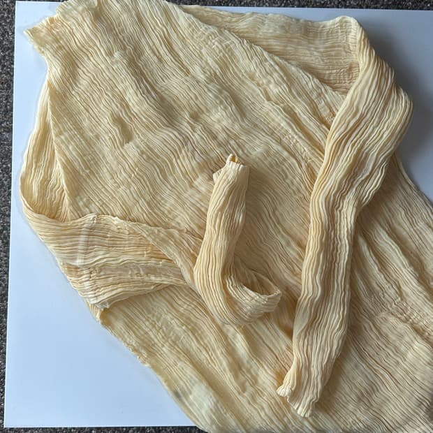 Issey miyake reversible