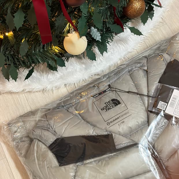 노스페이스 마테호른 실버