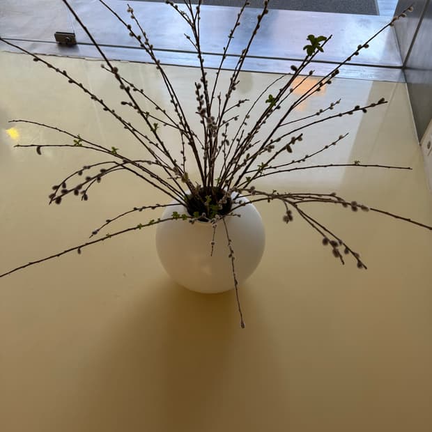 dla님 개인결제창