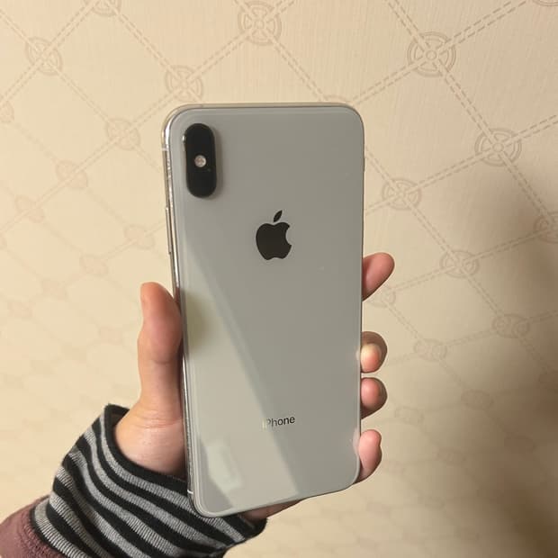 아이폰 xs max 실버