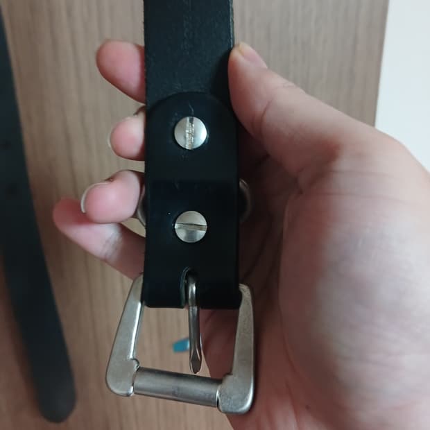 요코 사카모토 벨트 