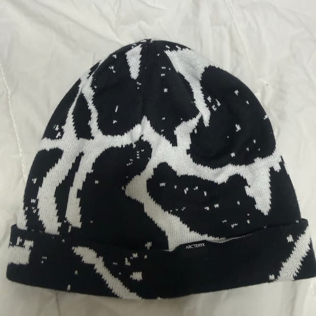 아크테릭스 비니