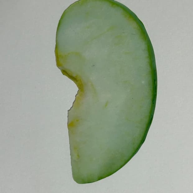 이옥토 한정판 풋사과 책갈피