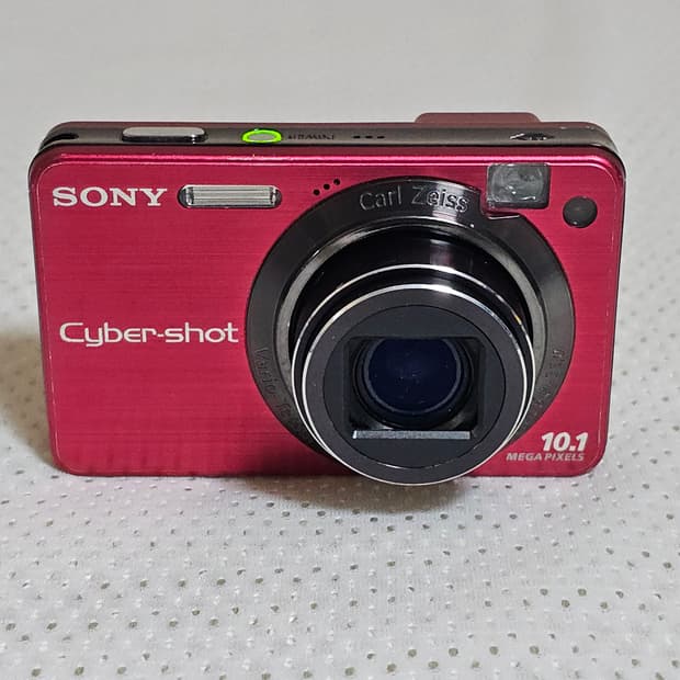 소니 사이버샷 DSC-W170 디지털 카메라