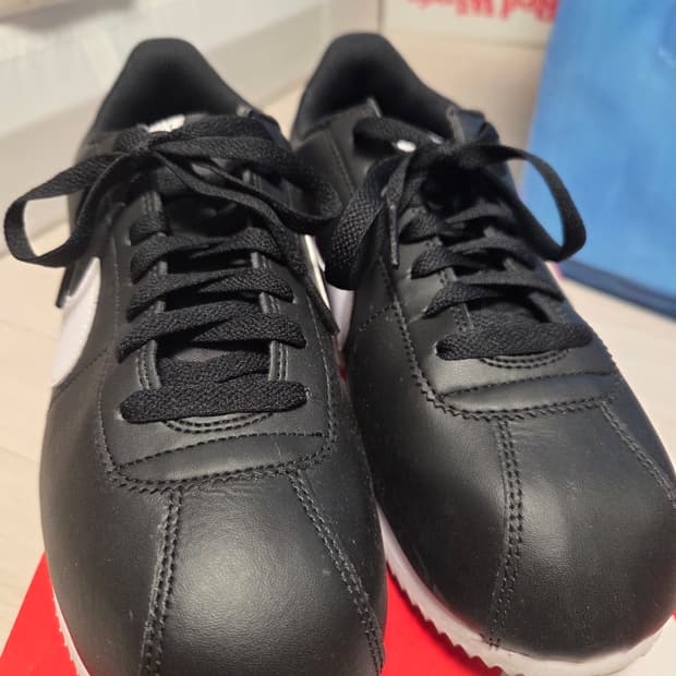 나이키 코르테즈 검흰 270