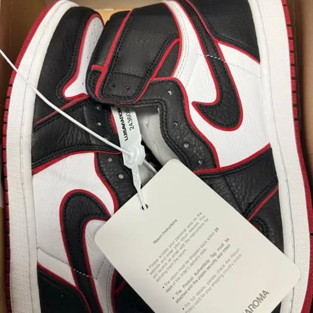 조던1 블러드라인 270