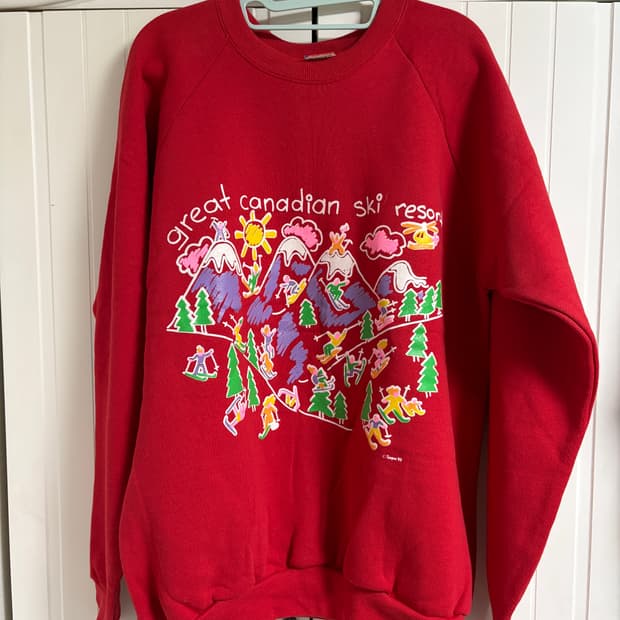 [XL] 프룻오브더룸 스웻셔츠