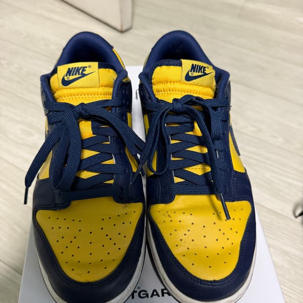 나이키 로우 덩크 레트로 바시티, 260