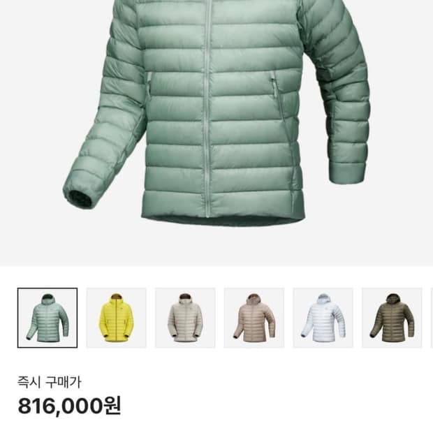 아크테릭스 세륨 후디 스톤그린 M사이즈