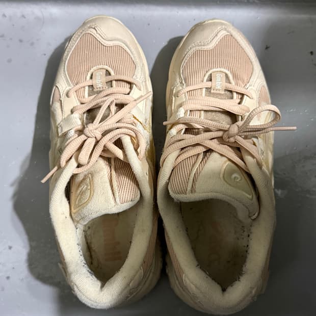 아식스 X GMBH 젤 카야노5 씨쉘 베이지 255