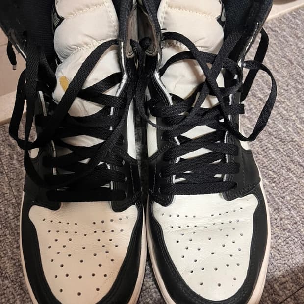 조던 1 하이 다크모카 280