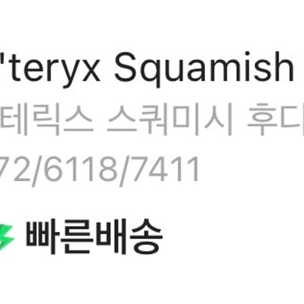 아크테릭스 스쿼미시 후디