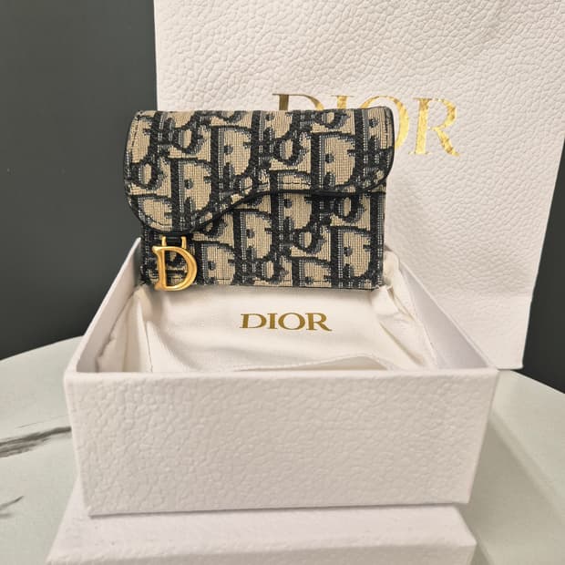 디올 오블리크 새들 지갑