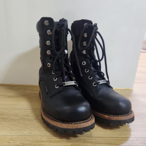 할리데이비슨 워커 245