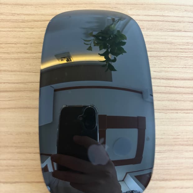 매직마우스2 스그