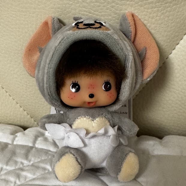 베비치치 몬치치