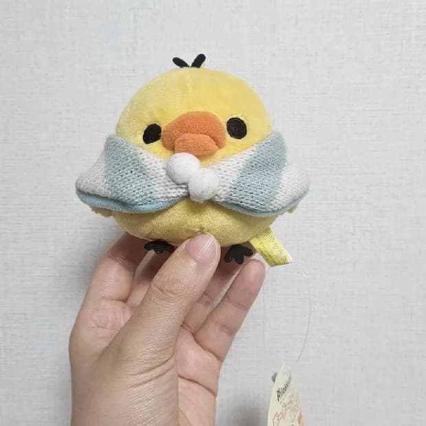 망토 키이토리 인형
