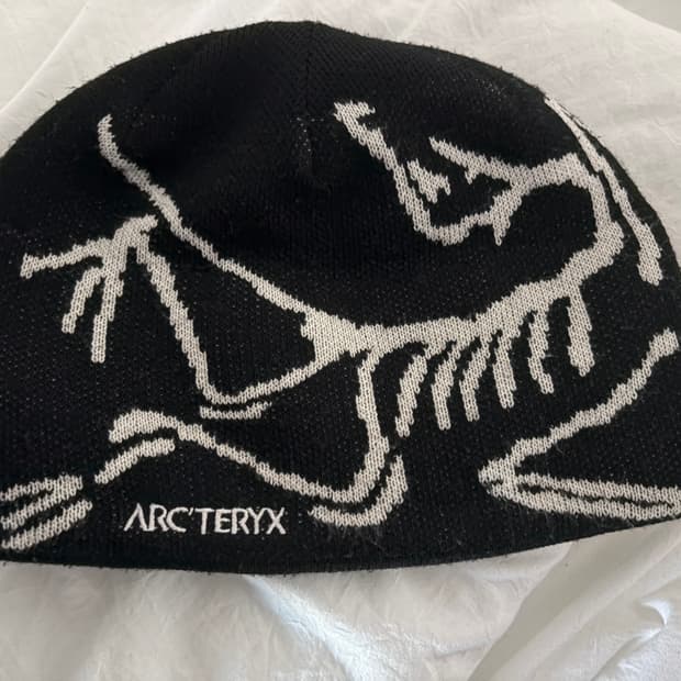 아크테릭스 버드 헤드 토크 오르카 비니