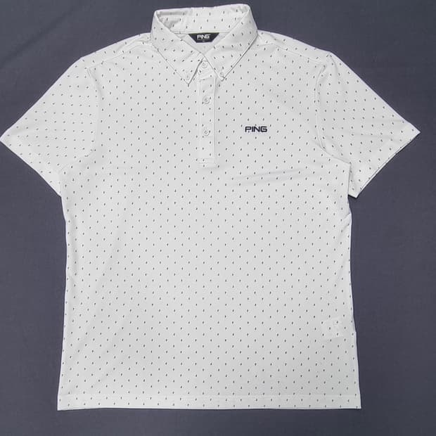 PING 핑 미니 프린트 카라넥 반팔 L _ 남성