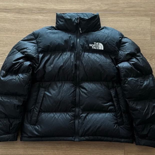 노스페이스 1996 에코눕시 L