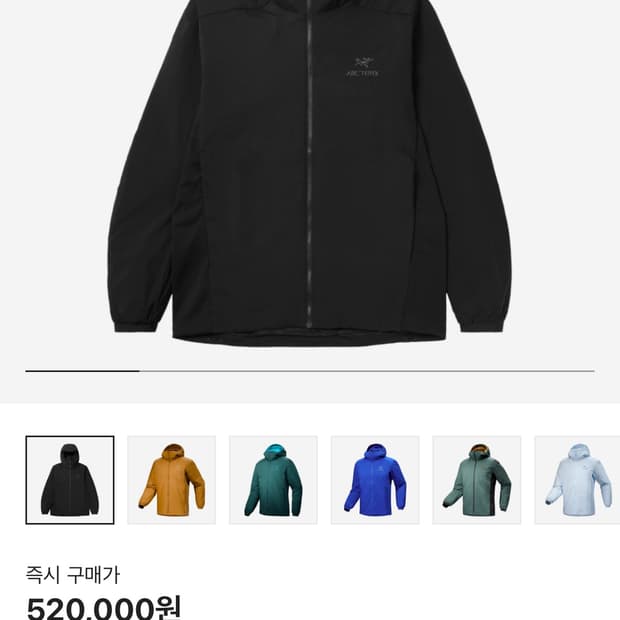 아크테릭스 아톰 후디 블랙
