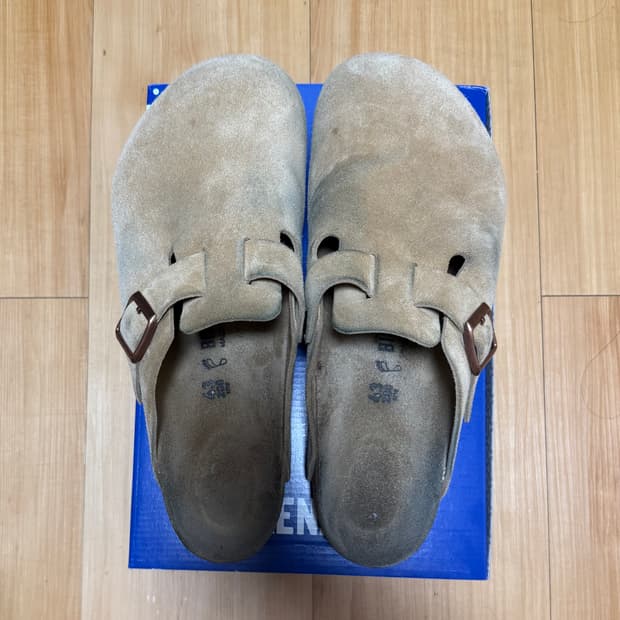 버텐스탁 보스턴 라떼 크림 43 레귤러