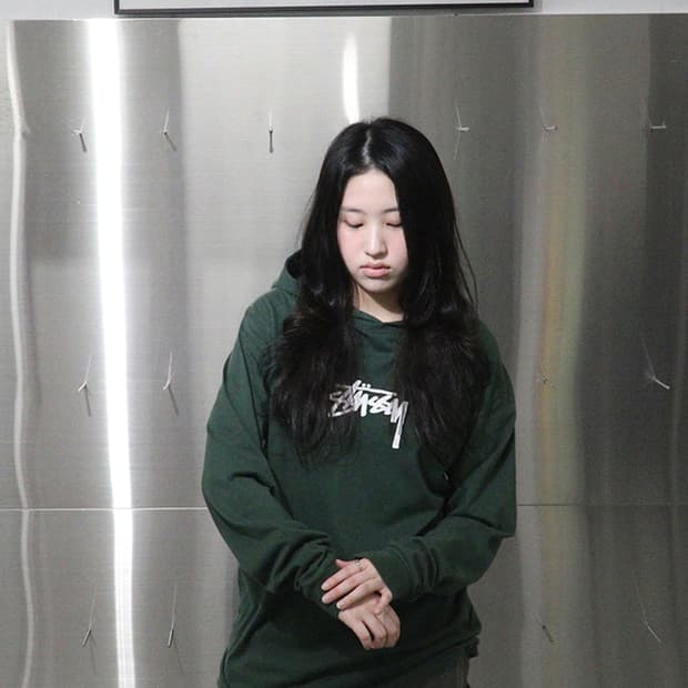 스투시 STUSSY Green Hoodie