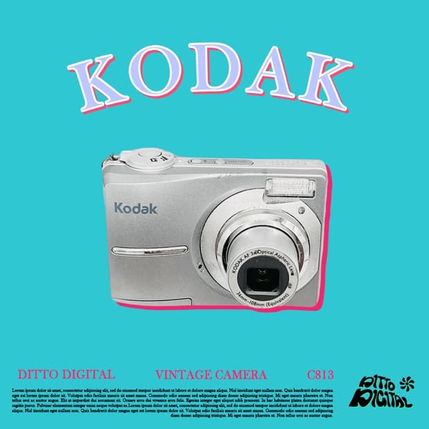 Kodak Easysahre C813