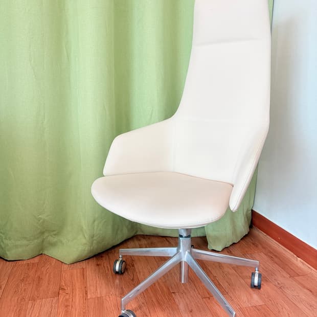 Arper 애스턴 이테리 명품 디자인 체어 