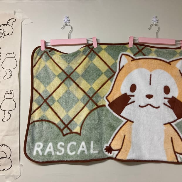 라스칼 너구리 담요