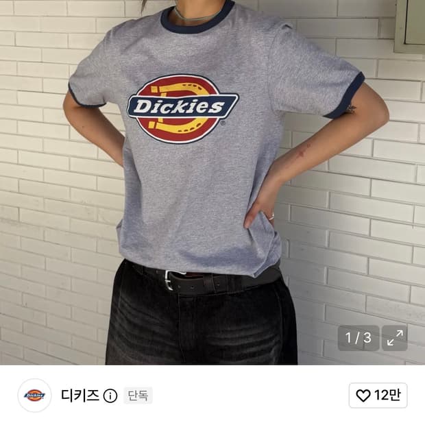 디키즈 반팔 링거티