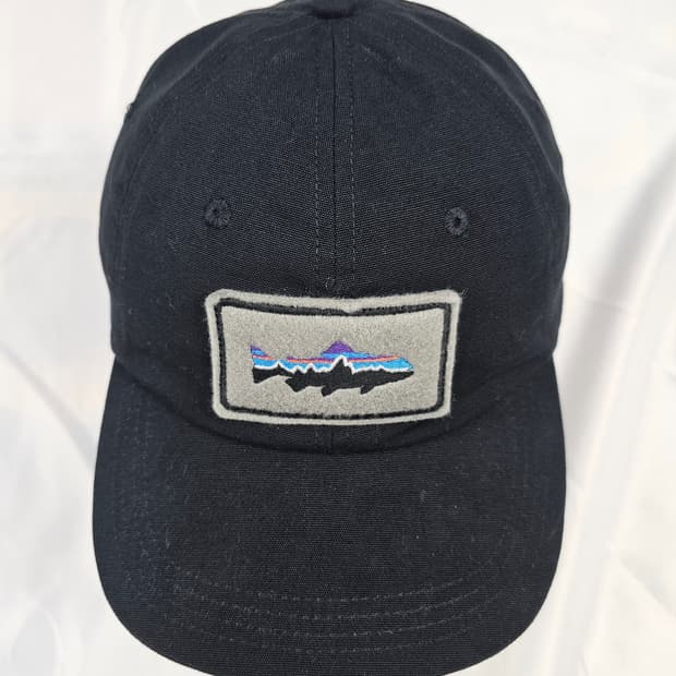 파타고니아피츠로이트라웃볼캡