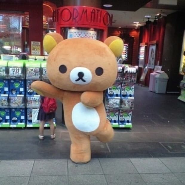 설날 세일 14~19일까지