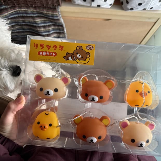 리락쿠마 전구 전등 조명