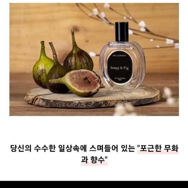 텀블벅 벨망 무화과 소피엔 피그 향수