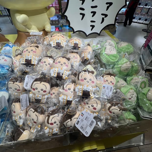 은제땅 으ㅣ 배추 우사기 아삭아삭