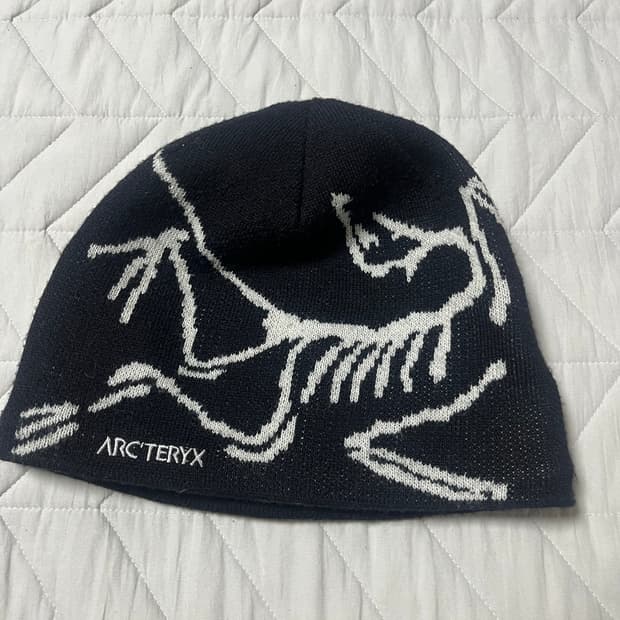 아크테릭스 버드 비니