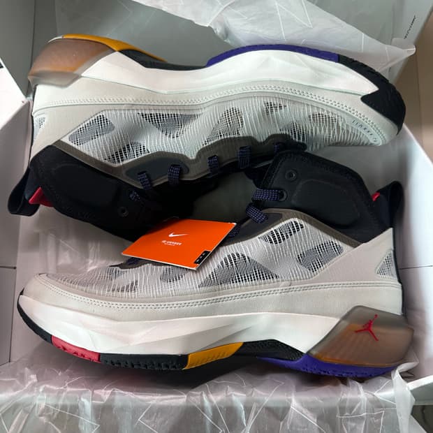 조던 37PF 라이트본 다트 콩코드