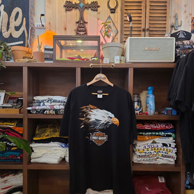 Harley-Davidson Eagle Graphic Vintage