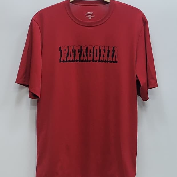 Patagonia 파타고니아 그래픽 반팔 티셔츠 / 남 L 래드
