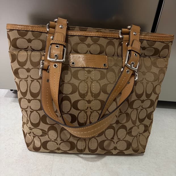 코치 빈티지 숄더백